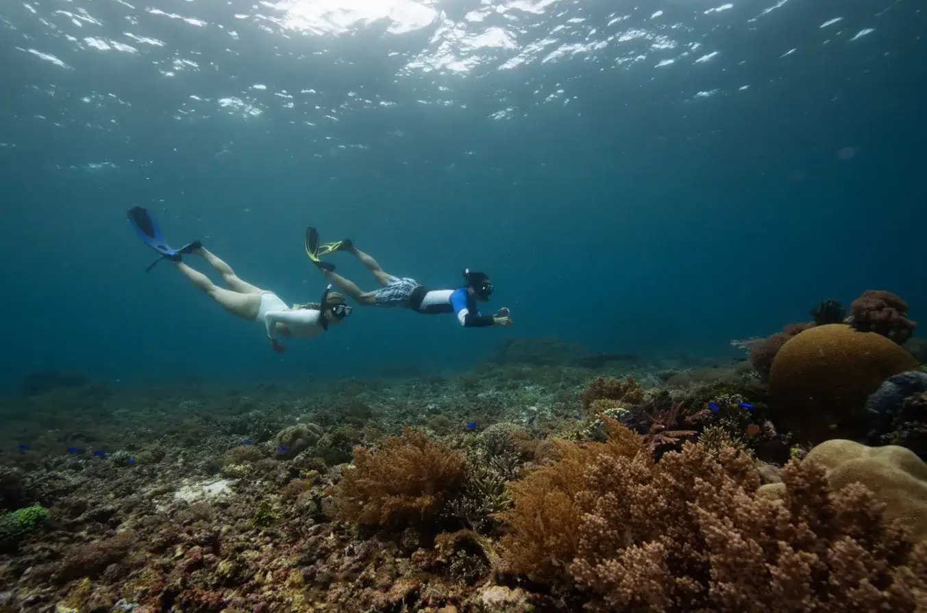 Guest Snorkeling | Naturalia Cruise Guest Snorkeling | Naturalia Cruise