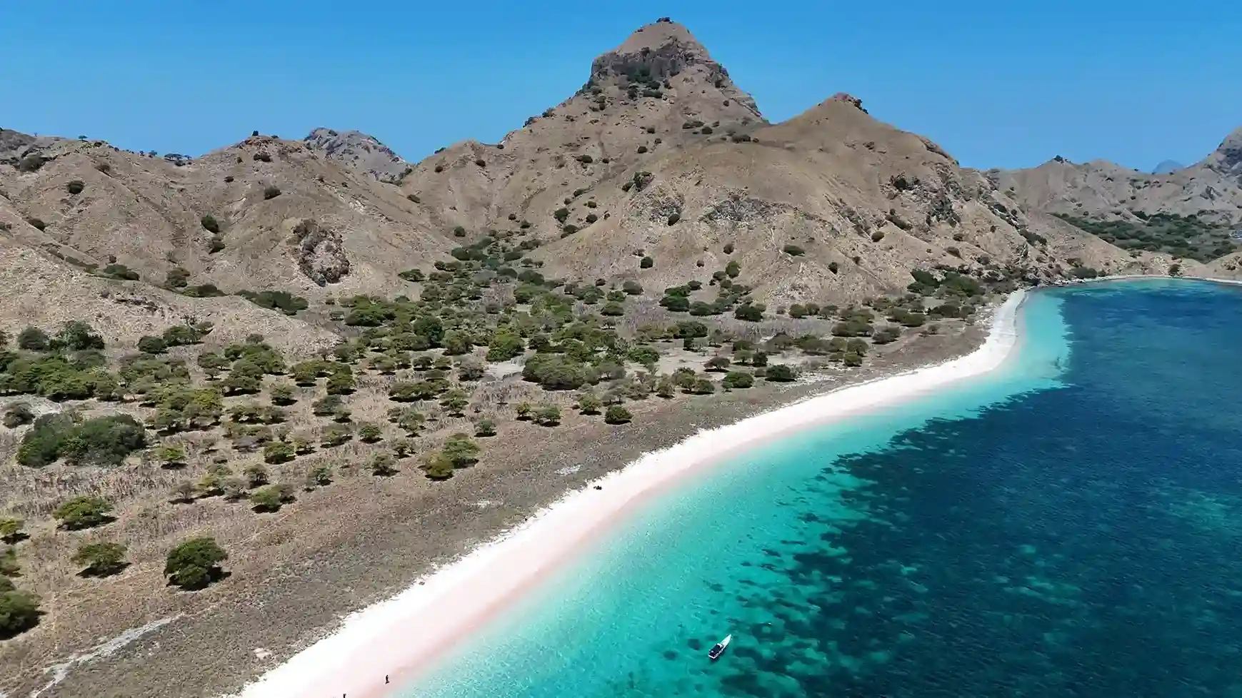Pink Beach Komodo National Park Pink Beach Komodo - Rare Pink Sand Beach Indonesia