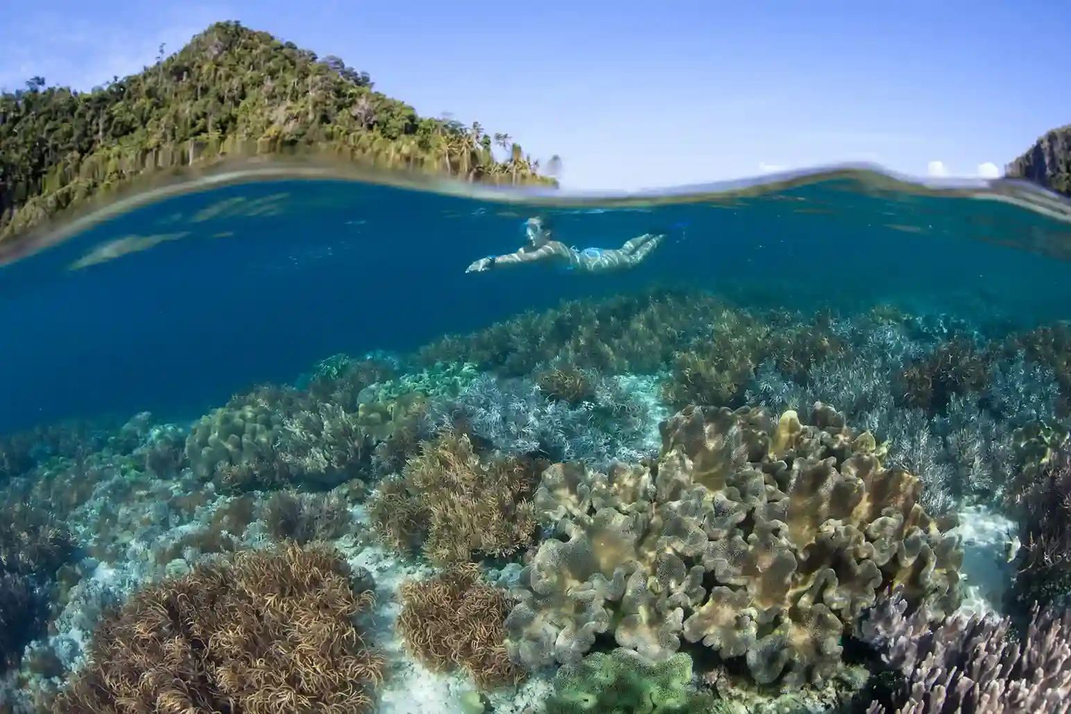 Sebayur Island Komodo National Park Sebayur Island - Diving and Snorkeling Haven in Komodo